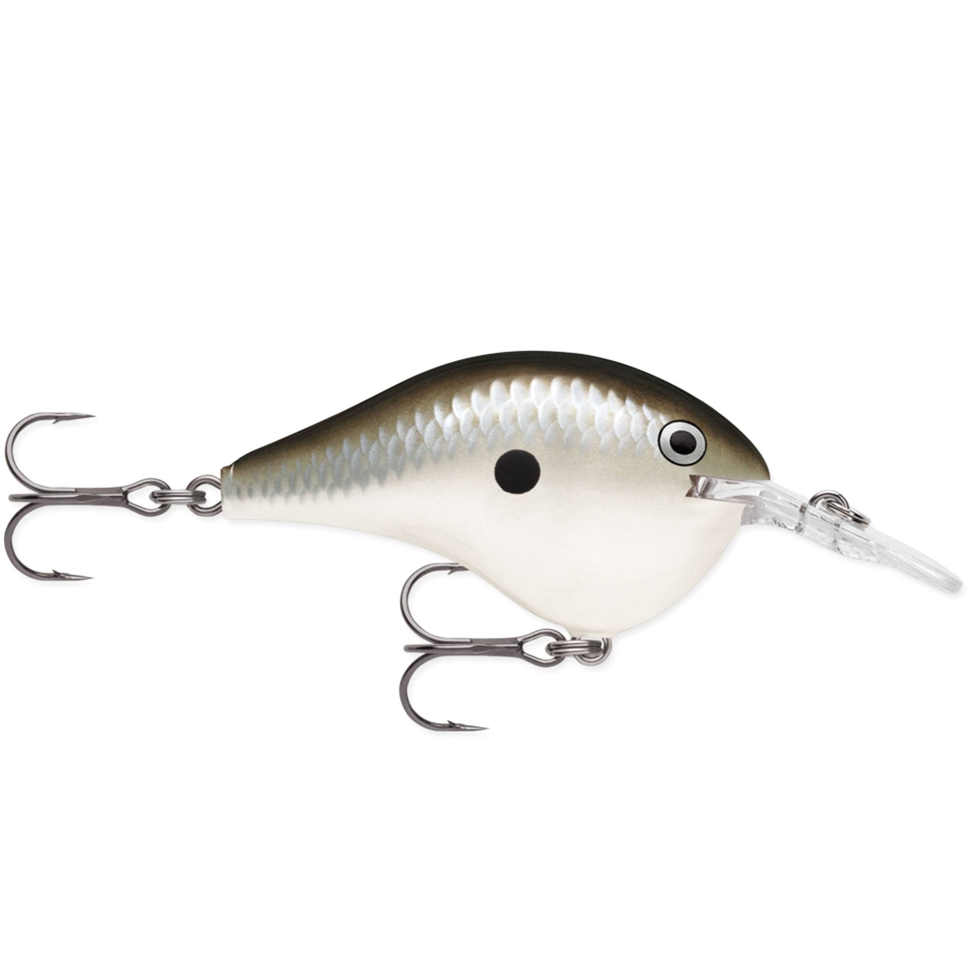 Pearl Grey Shiner