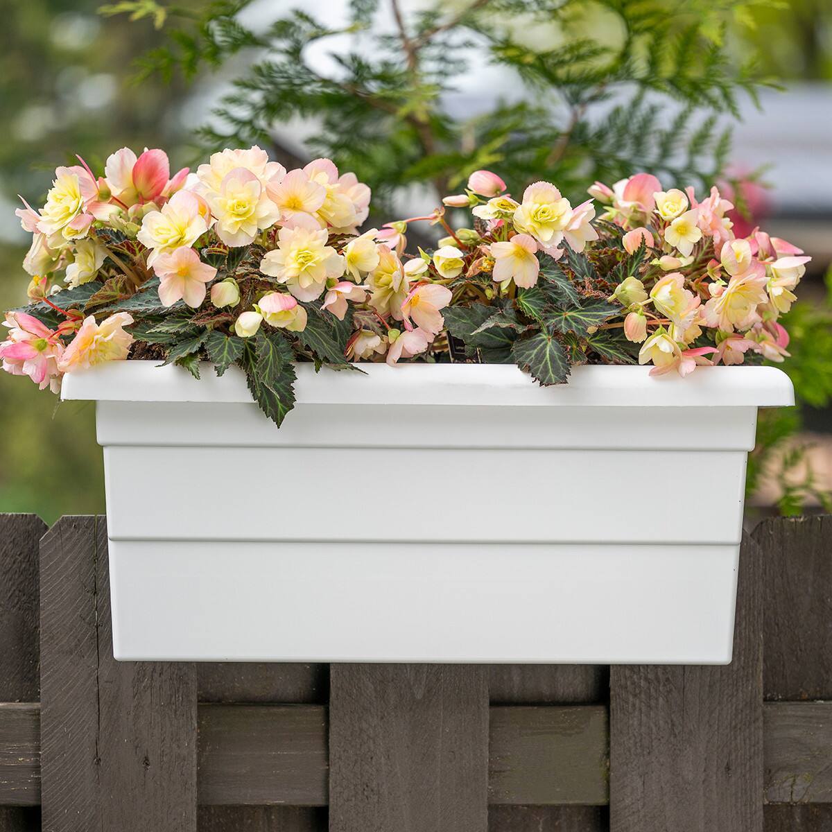 Alt View 2. Root & Vessel - 16" Countryside Rail Planter for 3.5" or 5.5" Wide Railings - Terra.