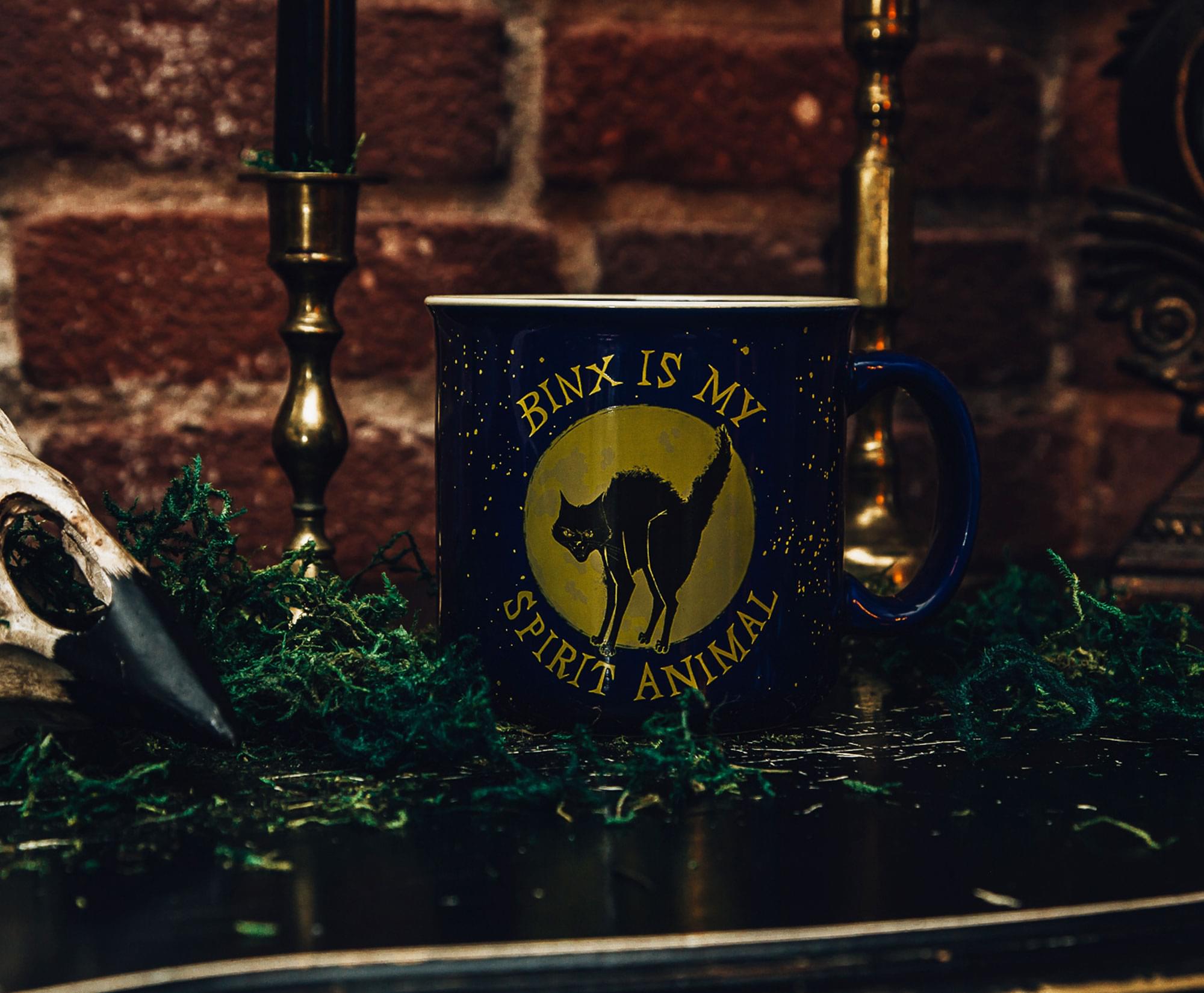 Binx is my spirit animal