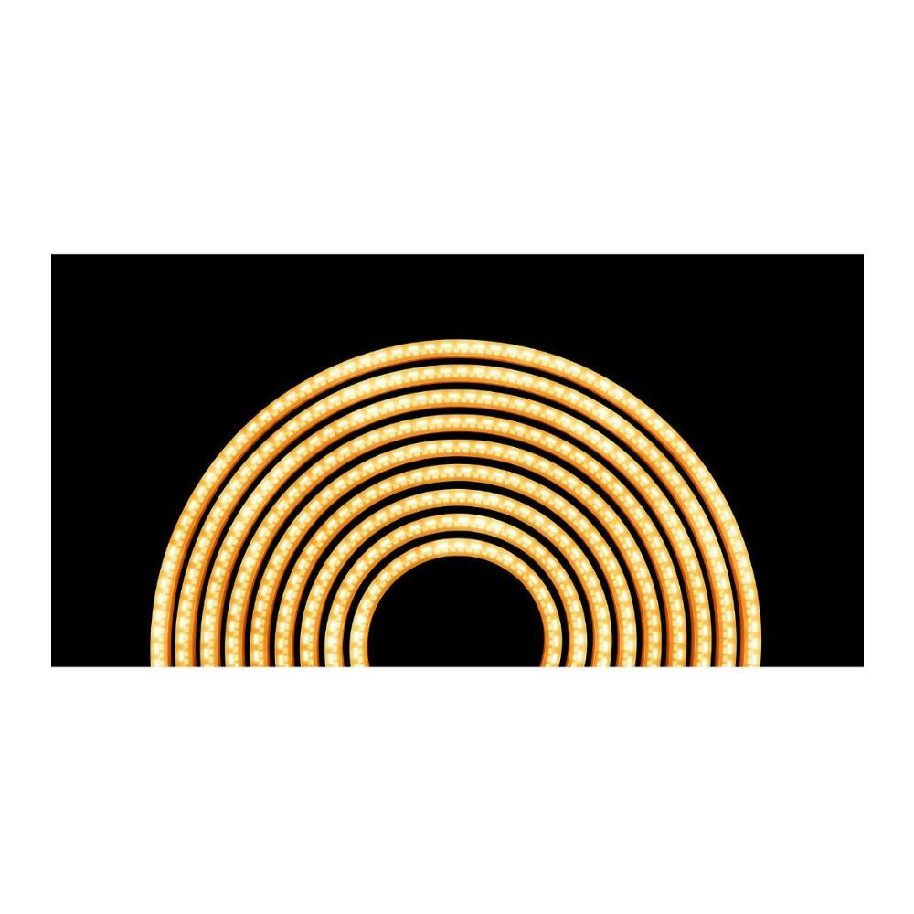 Back. Atomos - Atomos Sun Dragon White Transparent Rope Light with 5 Color RGBAW Design.