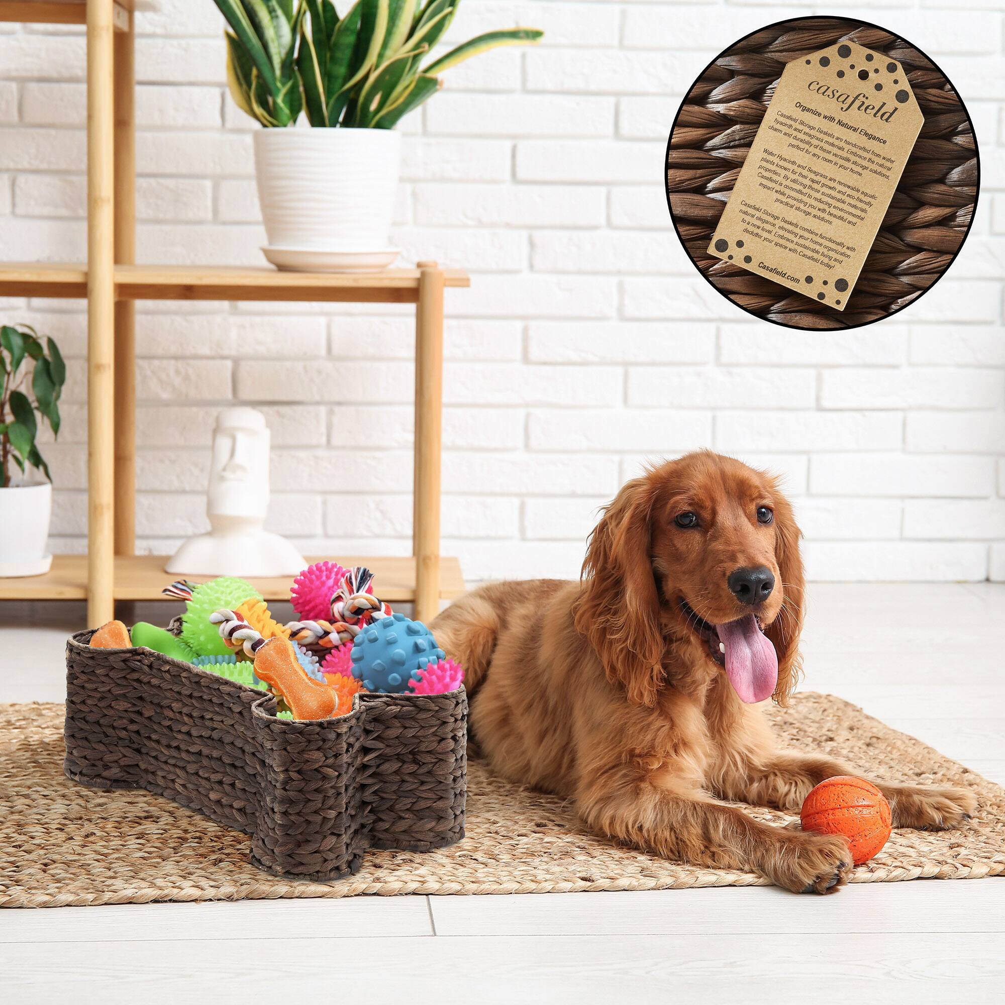 Organize casafield casa VaE I u - - Seda Natural - Dlegance Ausay - - p - i aul - N su -  Nu m ScOm - - I - - -  AUT A  Geuboc - - - .. CAR - - - - - 7S - - au mpuao ms wotdre poue Ntut Cnta - - - - H SNP - N - - - - NR - - - - Lobrus - A - - - -  be_d Canafaid LA J