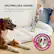 NEUTRALIZES ODORS
Formulated to remove tough odors, even pet urine & smoke.
A Shark
DESIGNED FOR PET STAINS & STAIN-MAKERS