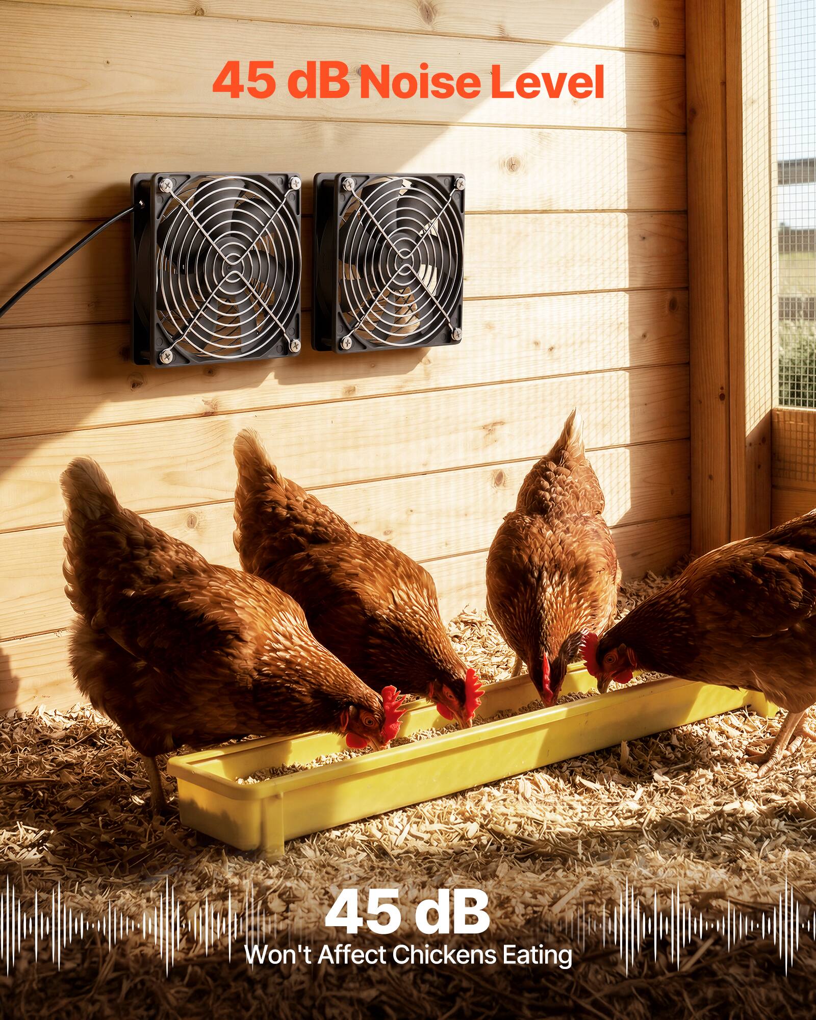 45 dB Noise Level  
45 dB Won't Affect Chickens Eating