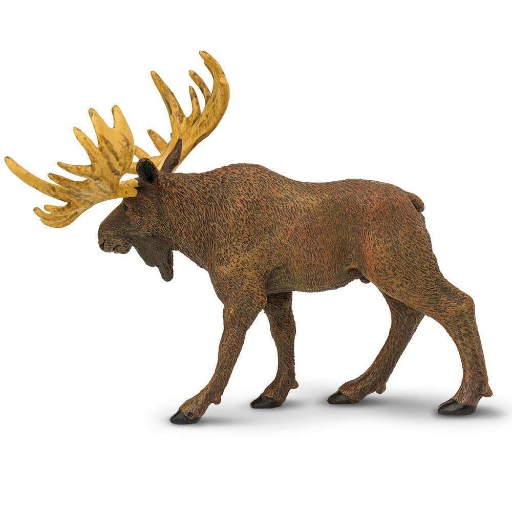 Back. Safari Ltd. - Moose Toy Figurine.