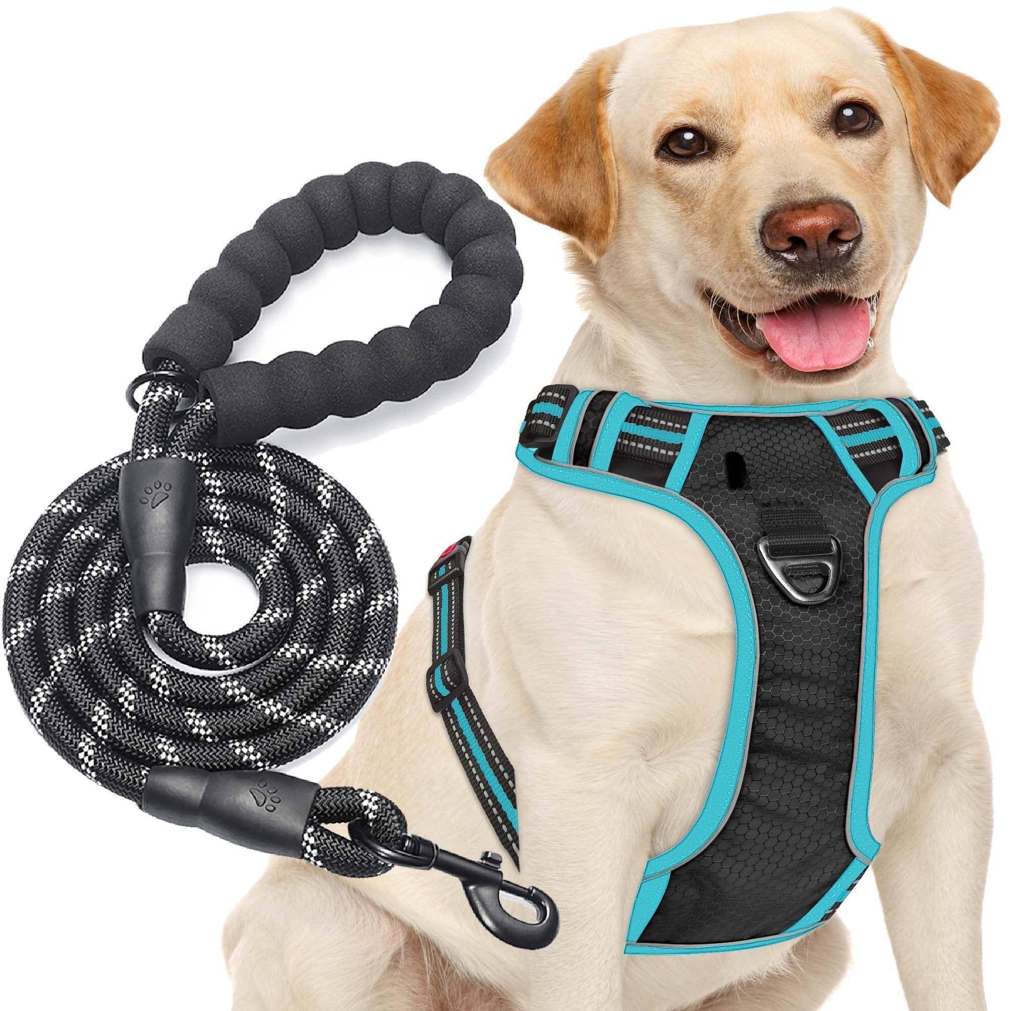 Black/Blue Harness+Leash-Large