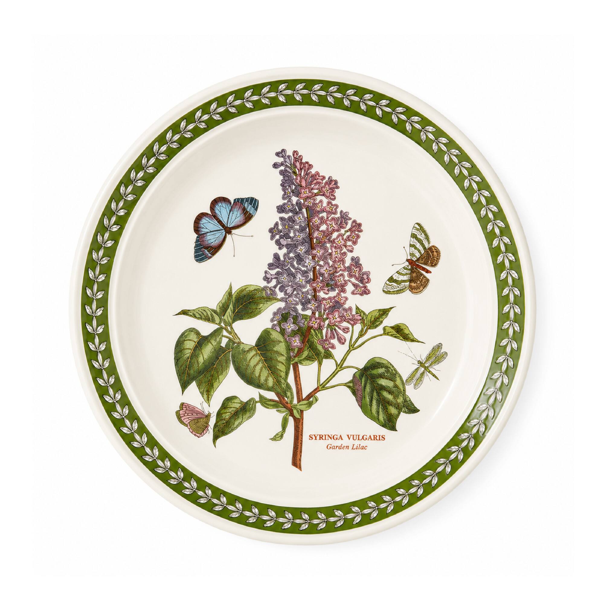 SYRINGA VULGARIS  
Garden Lilac
