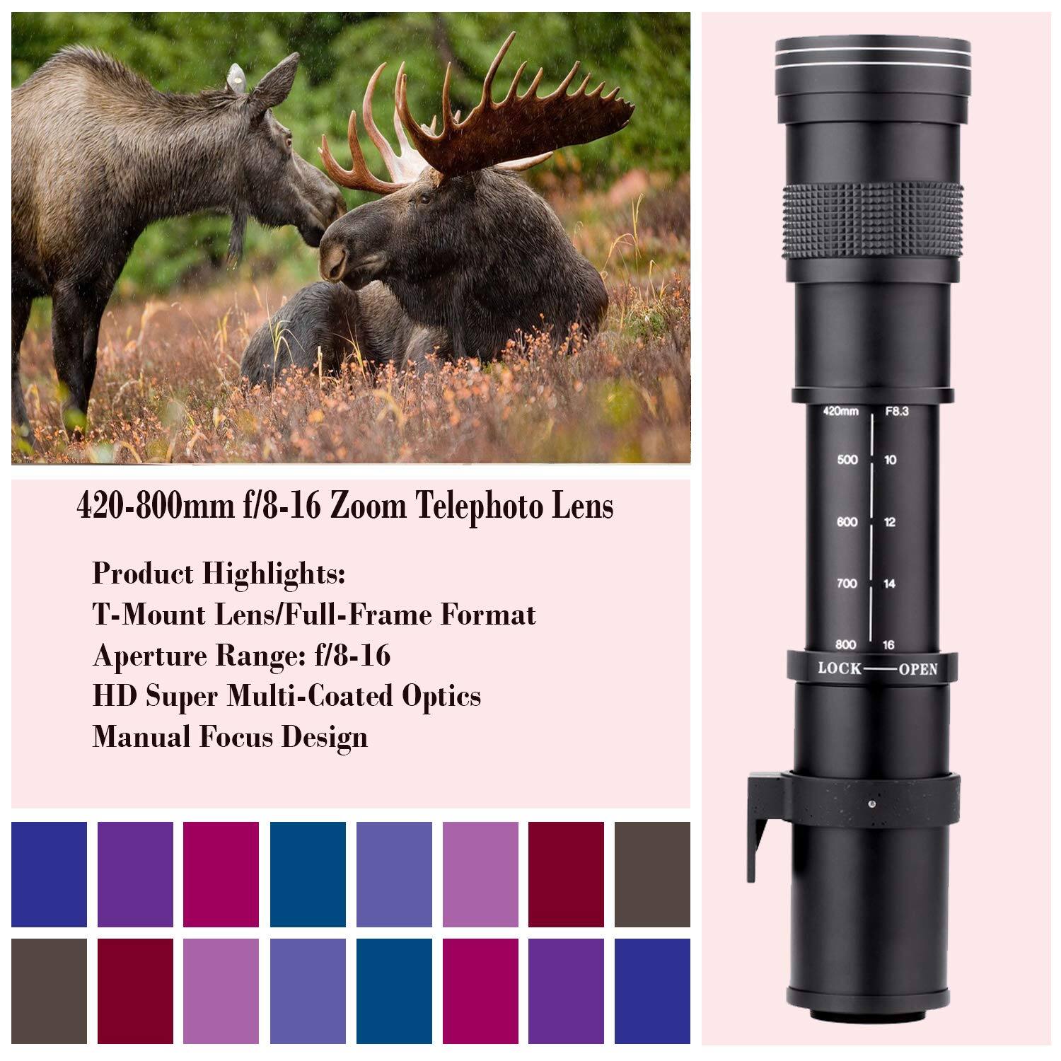 420-800mm f/8-16 Zoom Telephoto Lens

Product Highlights:
- T-Mount Lens/Full-Frame Format
- Aperture Range: f/8-16
- HD Super Multi-Coated Optics
- Manual Focus Design

LOCK-OPEN