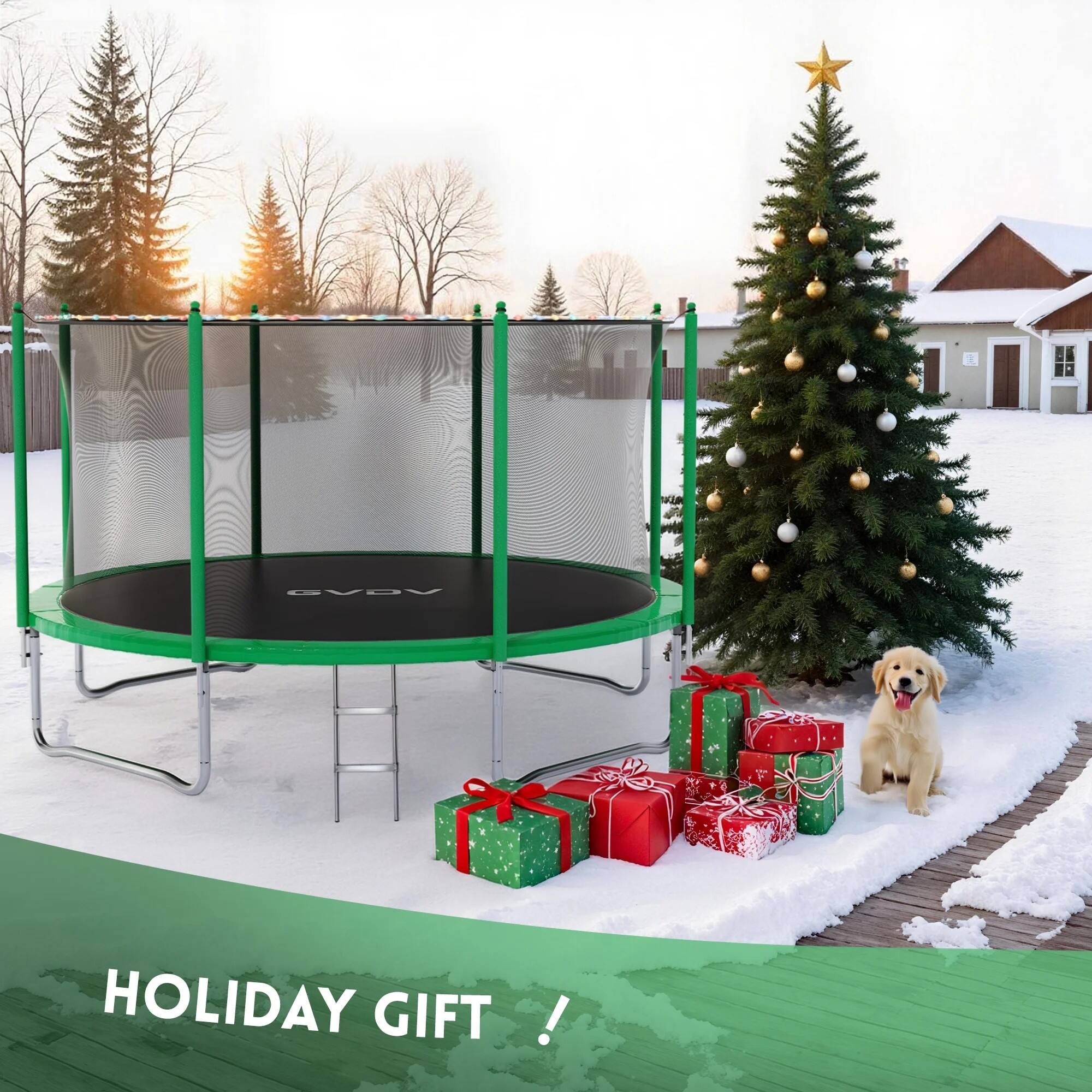 GVDA  
HOLIDAY GIFT!