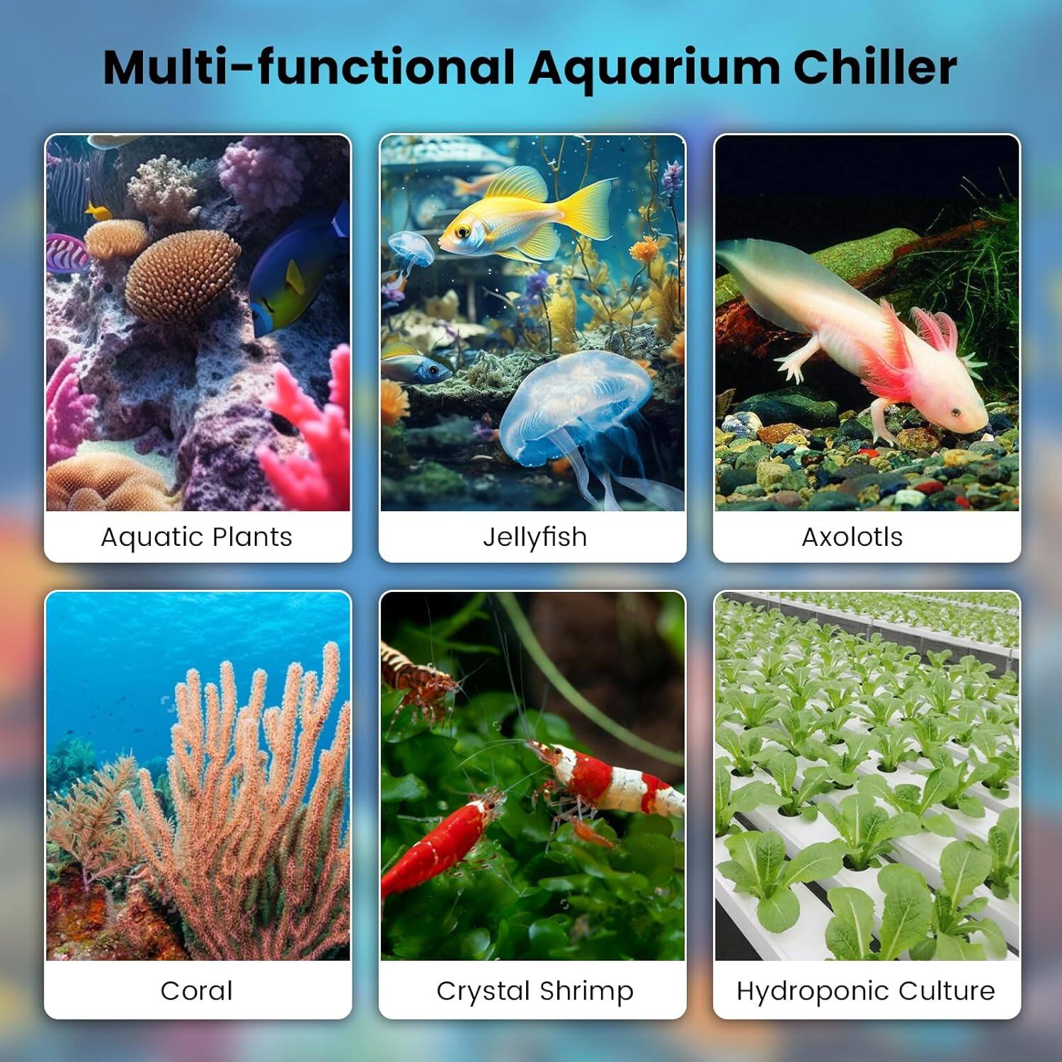 Multi-functional Aquarium Chiller

- Aquatic Plants
- Jellyfish
- Axolotls
- Coral
- Crystal Shrimp
- Hydroponic Culture