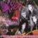 Front Standard. The Best of Vixen: Full Throttle [CD].