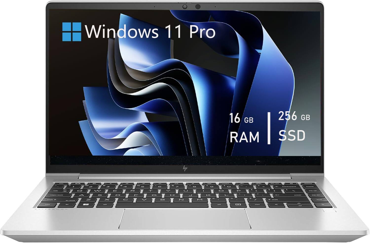 Windows 11 Pro  
16 GB RAM  
256 GB SSD