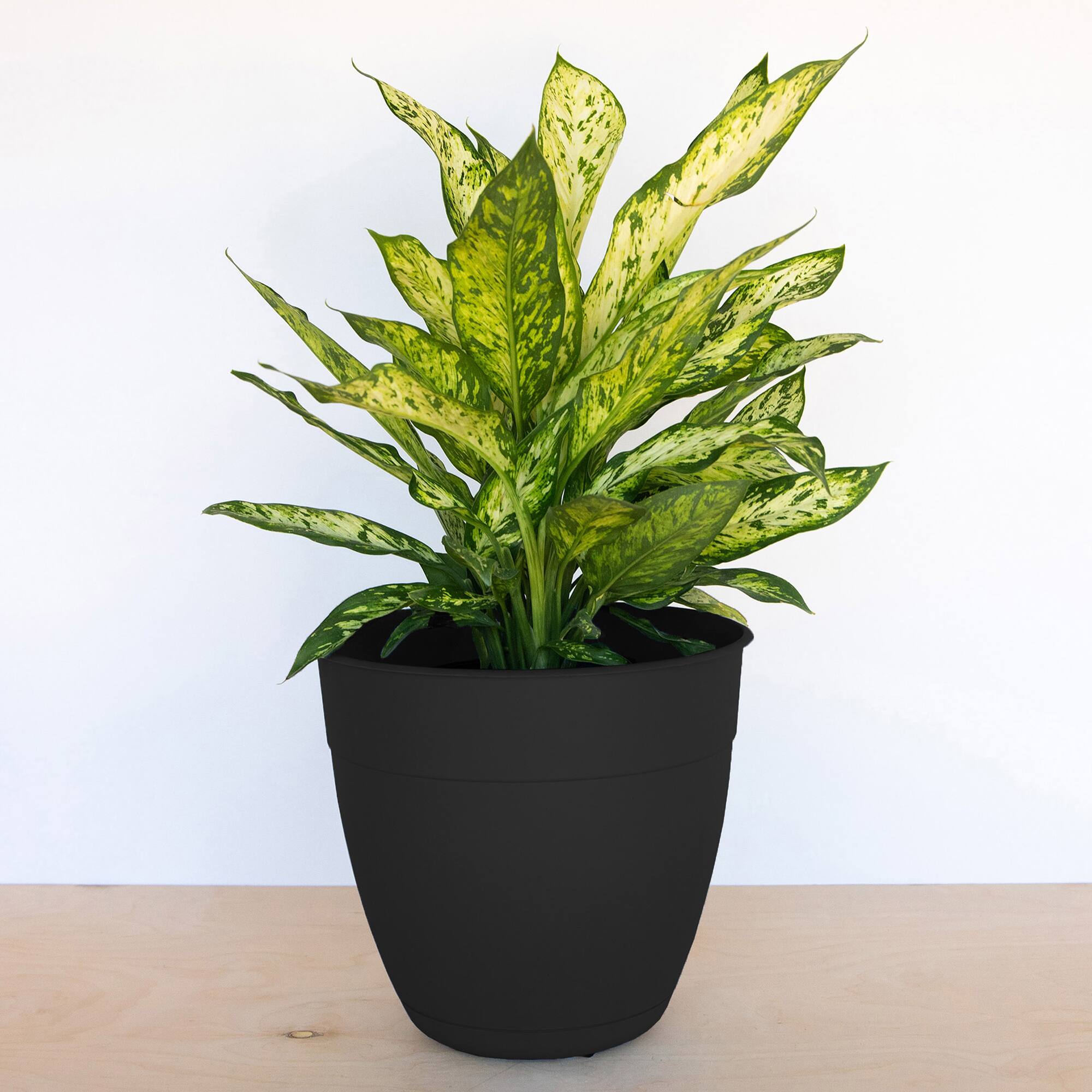 Alt View 5. Bloem - Black 12" - Dayton Pot Planter.
