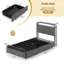 The text on the image is grouped and corrected as follows:

* Twin Size: 29.5" x 5"
* Recommended Mattress Thickness: 8"-10"
* 37.5" x 40"
* 440 lbs
* 13.5" x 82"
* 42.5"
