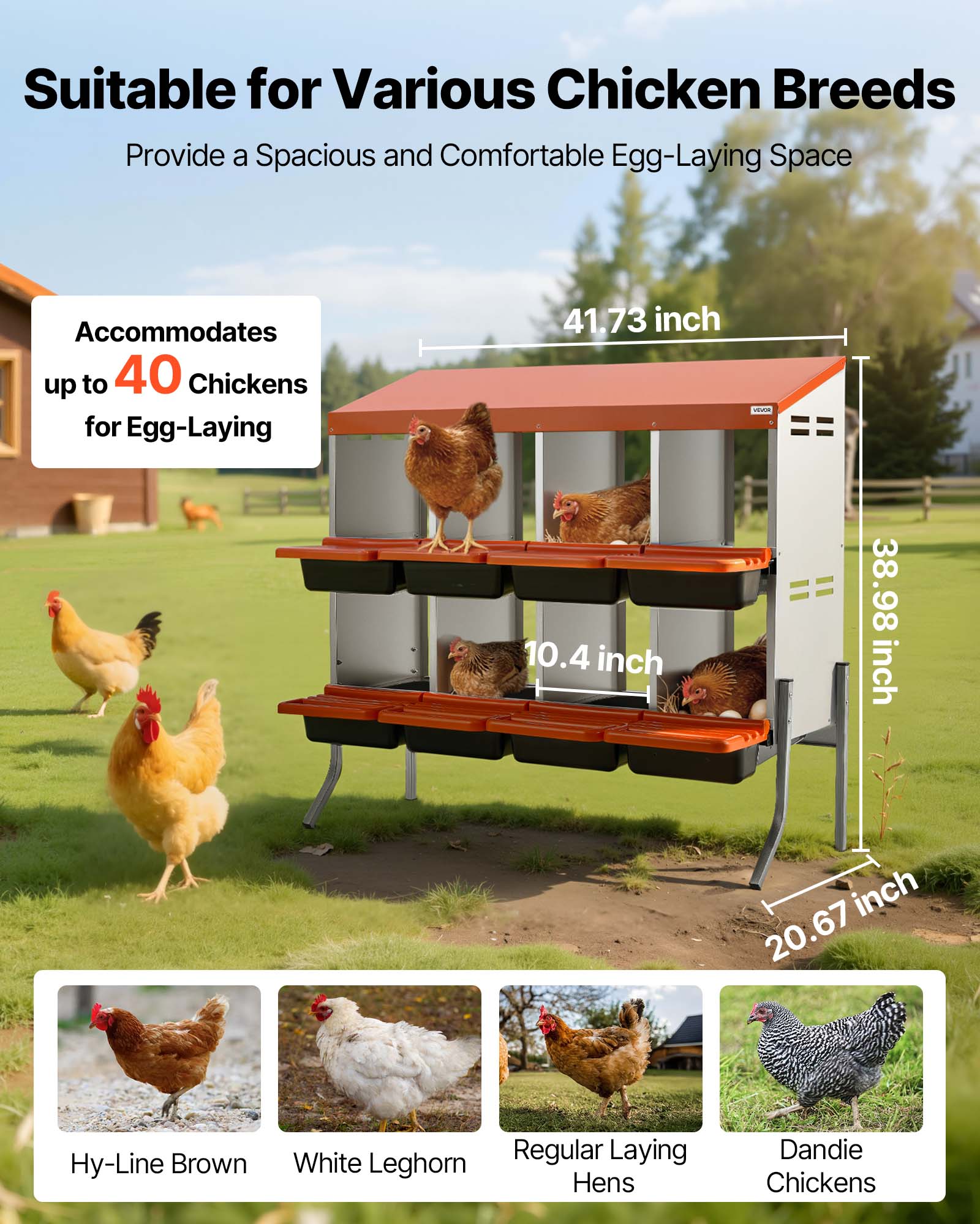 Suitable for Various Chicken Breeds  
Provide a Spacious and Comfortable Egg-Laying Space  

Accommodates up to 40 Chickens for Egg-Laying  

41.73 inch  
38.98 inch  
10.4 inch  
20.67 inch  

Hy-Line Brown  
White Leghorn  
Regular Laying Hens  
Dandie Chickens