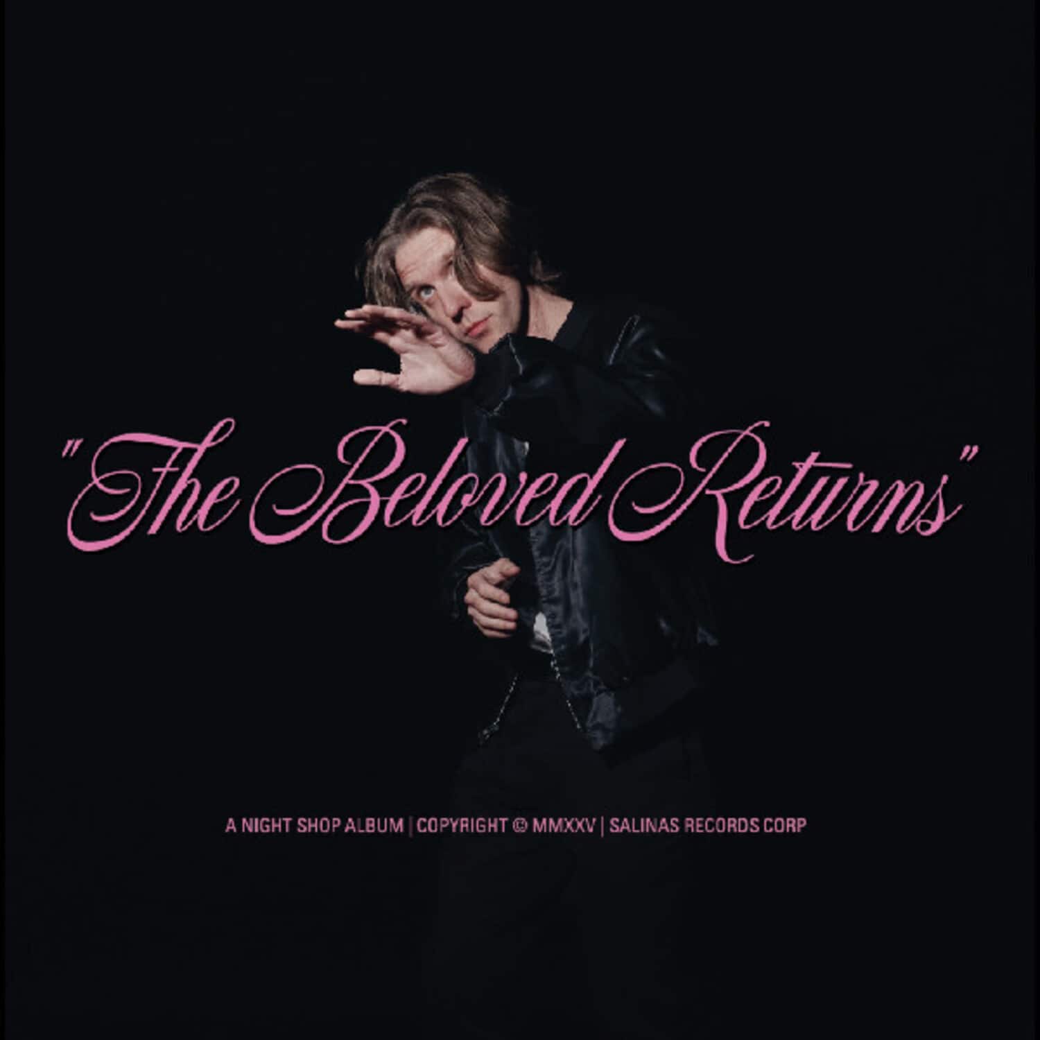 Night Shop - The Beloved Returns   - VINYL LP price history on PriceWatchPro