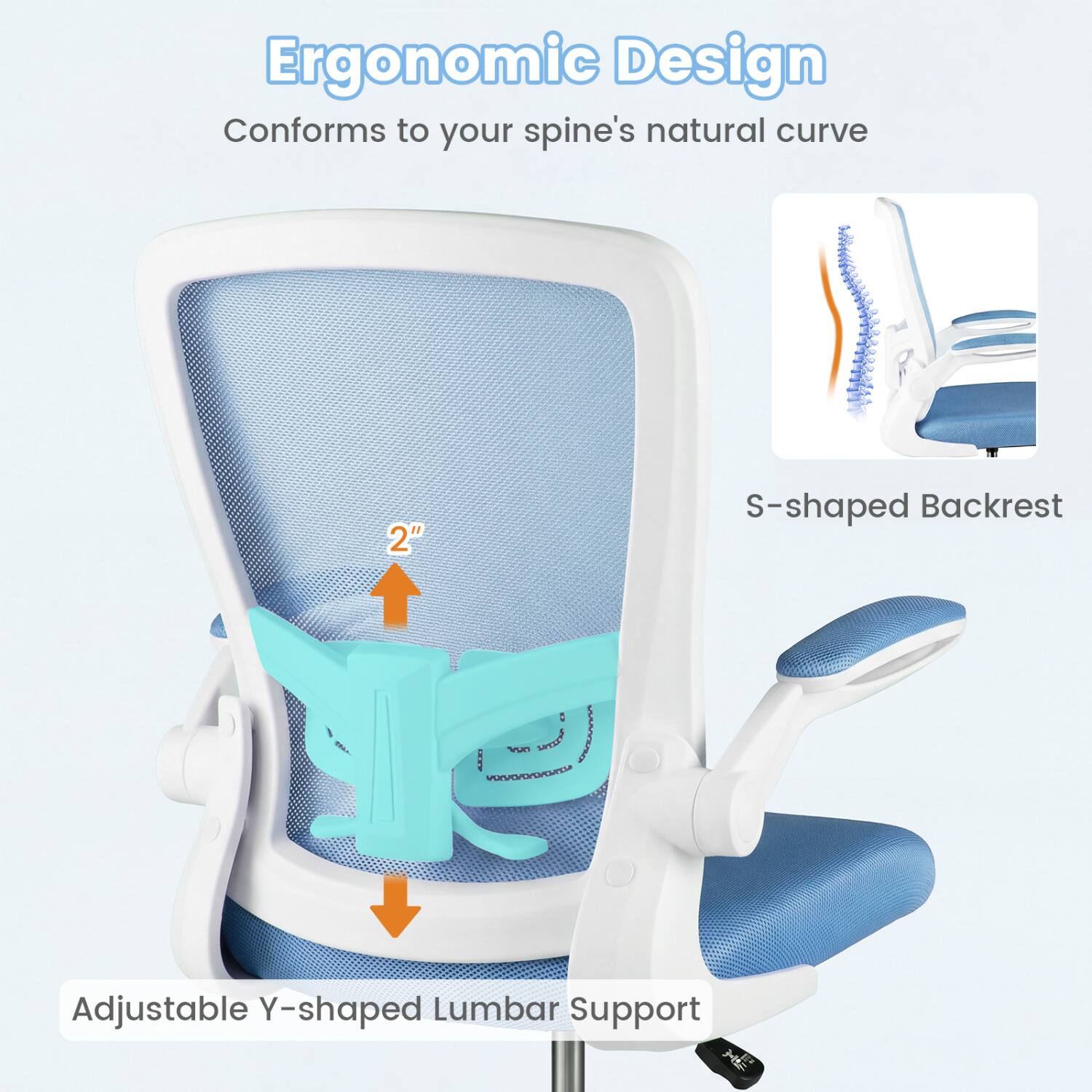 Ergonomic Design Conforms to your spine's natural curve

2" S-shaped Backrest

Adjustable Y-shaped Lumbar Support