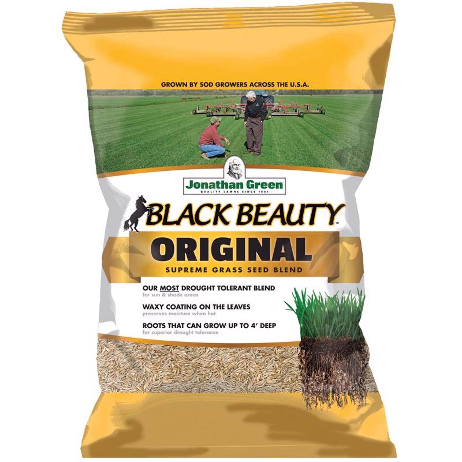 Jonathan Green - Black Beauty Original Tall Fescue Blend Tall Fescue Grass Sun or Shade Grass Seed 25 price history on PriceWatchPro