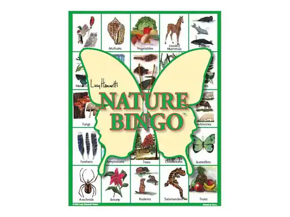Mollusks
Vegetables
Hoofed Mammals
Metamorphosis
Lucy Hamnett
NATURE BINGO
Fungi
Amphibians
Trees
Deciduous
Feathers
Botany
Rodents
Salamanders
Fruits
Arachnids
Butterflies
Herbivores