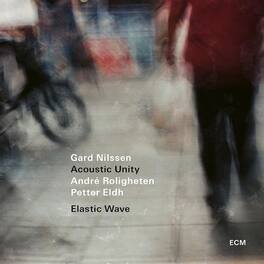 Gard Acoustic Unity Nilssen - Elastic Wave - VINYL LP