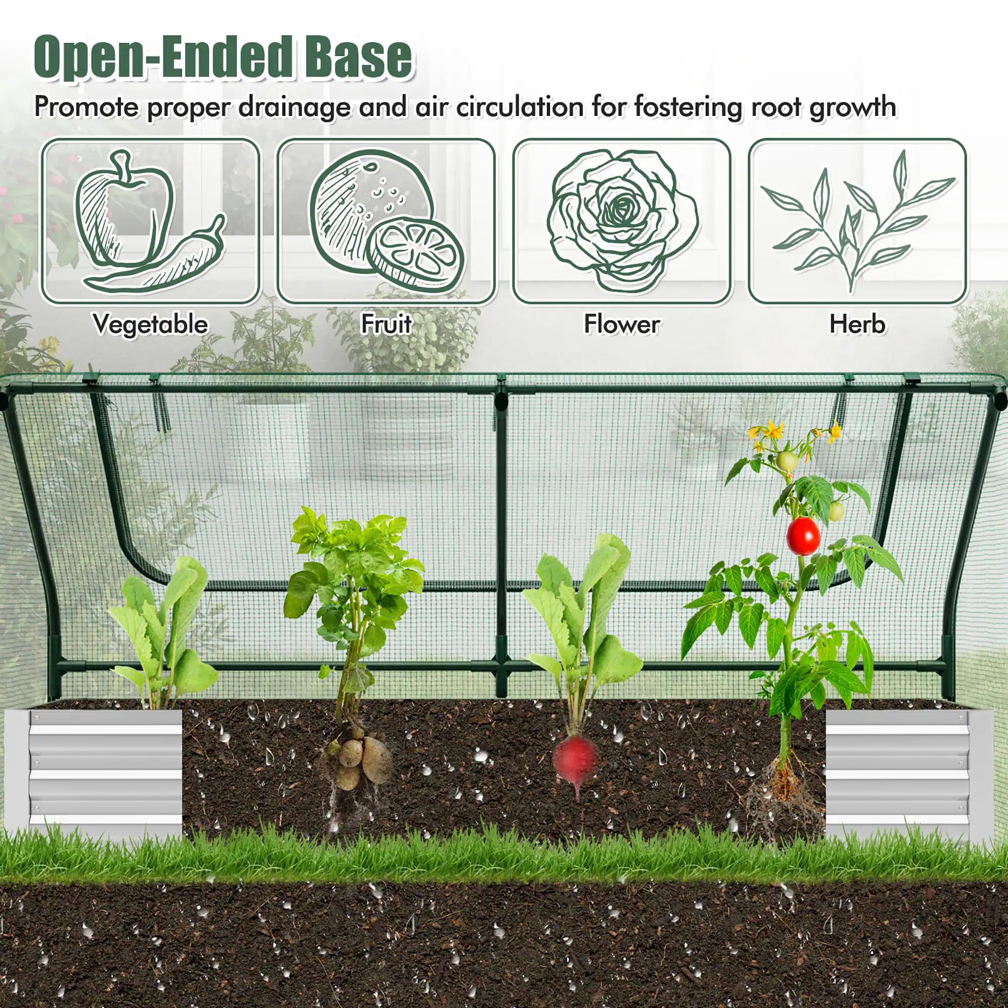 Open-Ended Base  
Promote proper drainage and air circulation for fostering root growth  

Vegetable  
Fruit  
Flower  
Herb