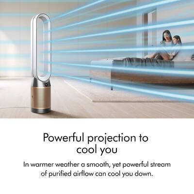 新品未開封 Dyson Purifier Hot＋Cool HP2 De-NOx Dyson Purifier Hot+Cool HP2 De NOx​ White/Gold 544564-01