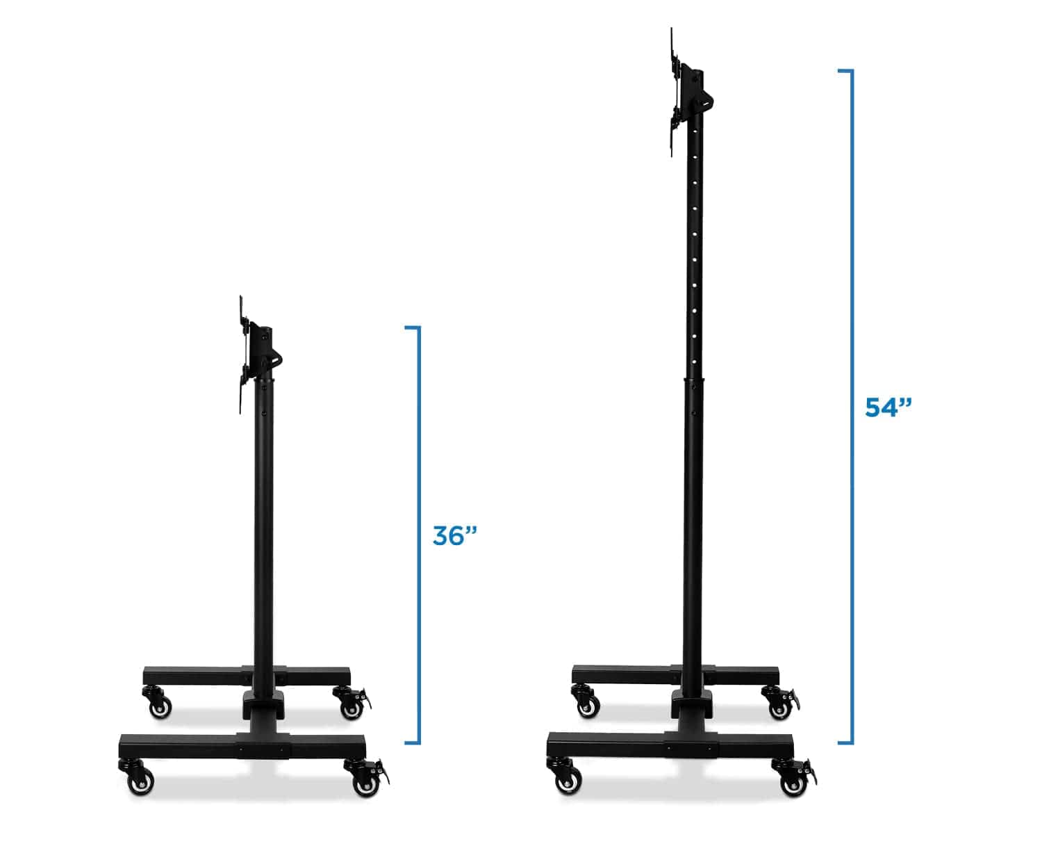 54"  
36"