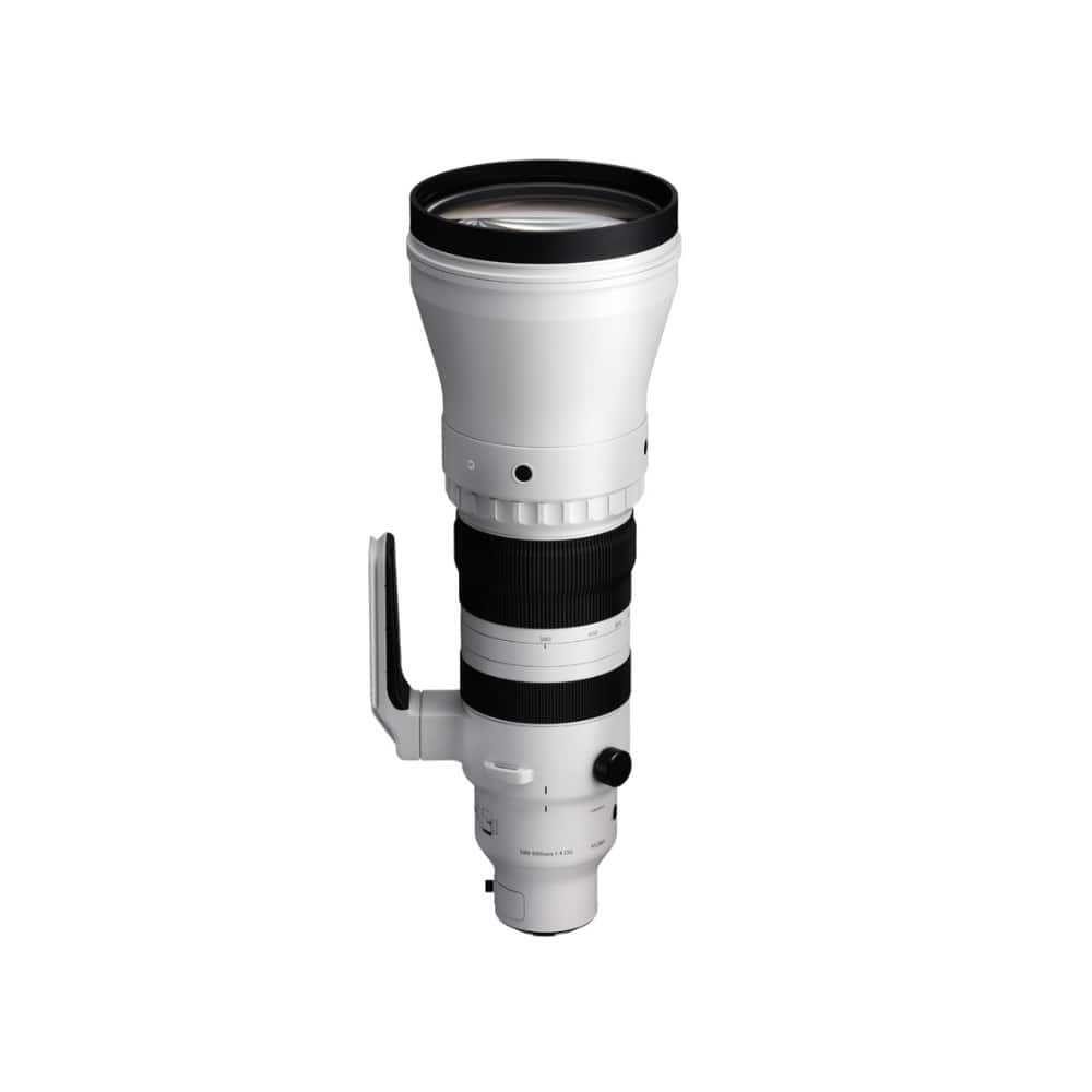Sigma - 300-600mm f/4 DG OS Sports Lens (L Mount)
