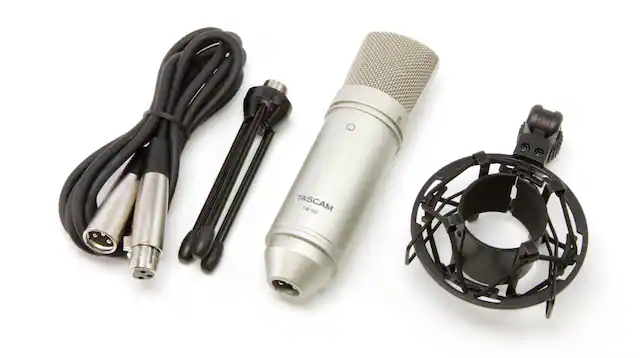 Cable, Hone, Microphone, Mic, Stand, Tascam TM-80