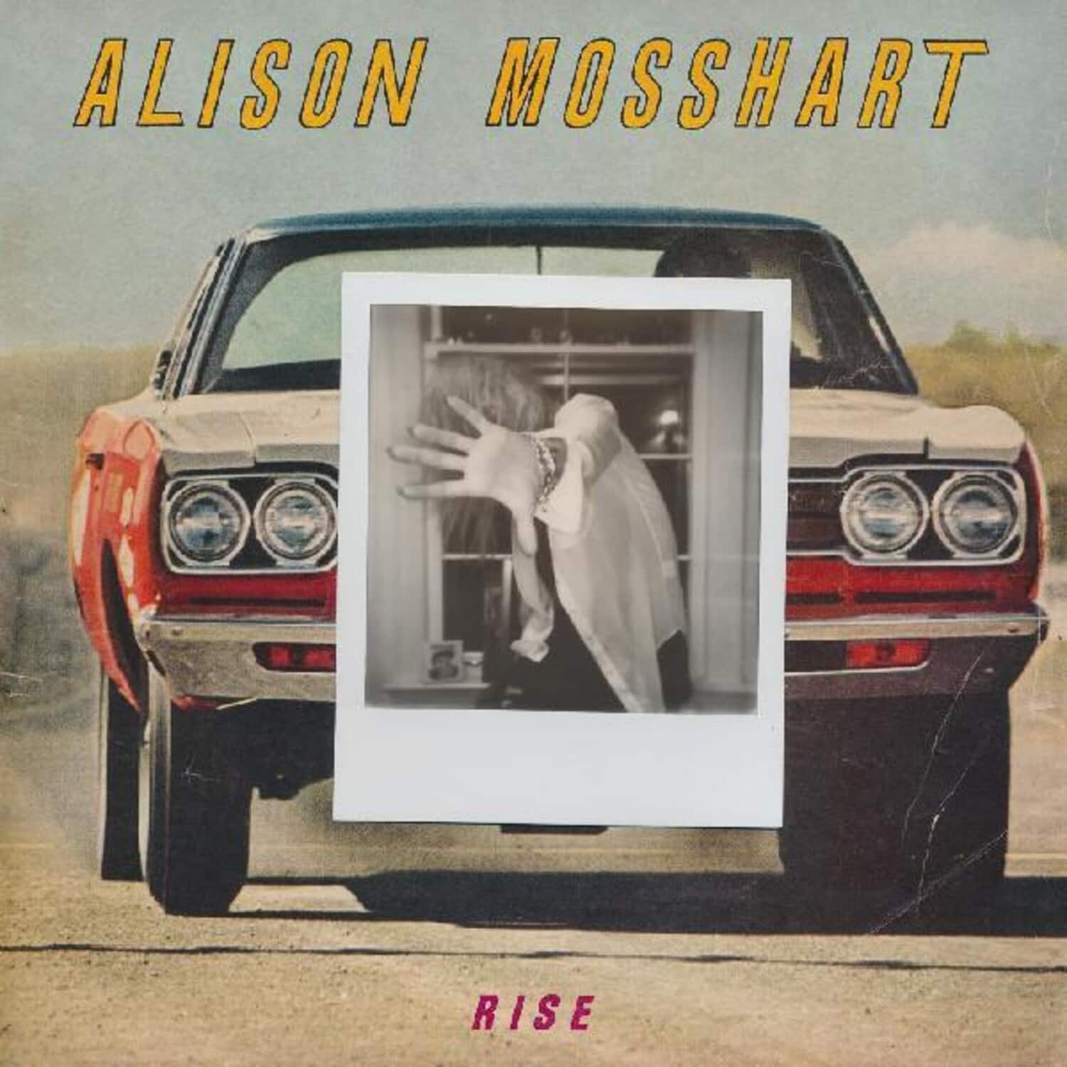 Alison Mosshart - Rise   - 7-INCH SINGLE [7 inch Vinyl Disc] price history on PriceWatchPro