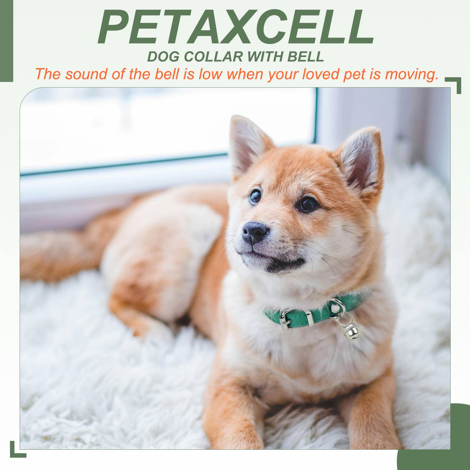 PETAXCELL DOG COLLAR WITH BELL  
The sound of the bell is low when your loved pet is moving.