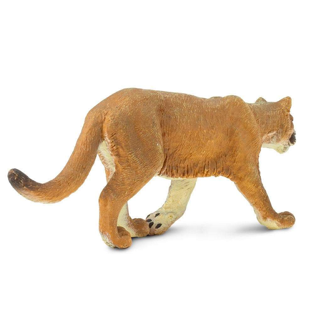 Back. Safari Ltd. - Mountain Lion Toy Figurine.