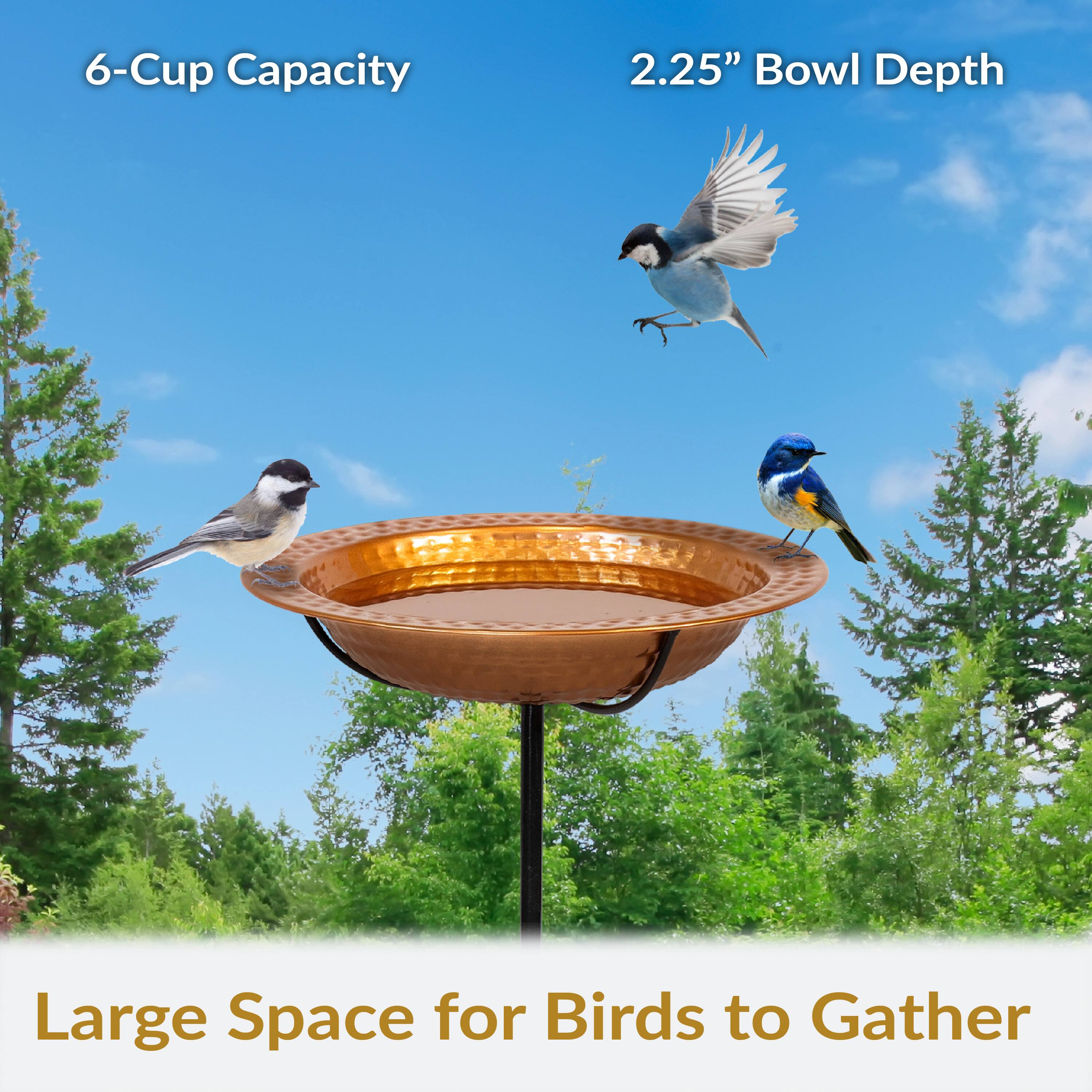6-Cup Capacity  
2.25" Bowl Depth  
Large Space for Birds to Gather