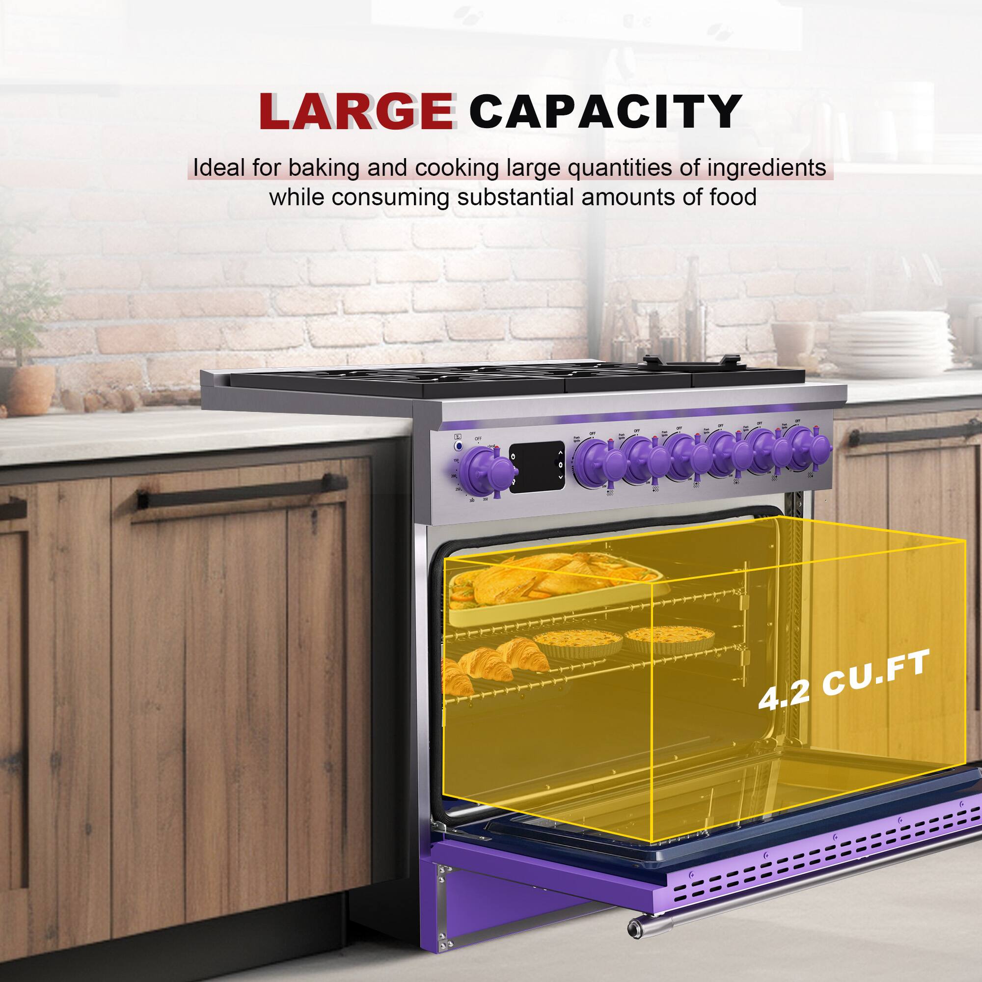 LARGE CAPACITY

Ideal for baking and cooking large quantities of ingredients while consuming substantial amounts of food

4.2 CU.FT