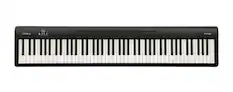 Roland FP-10