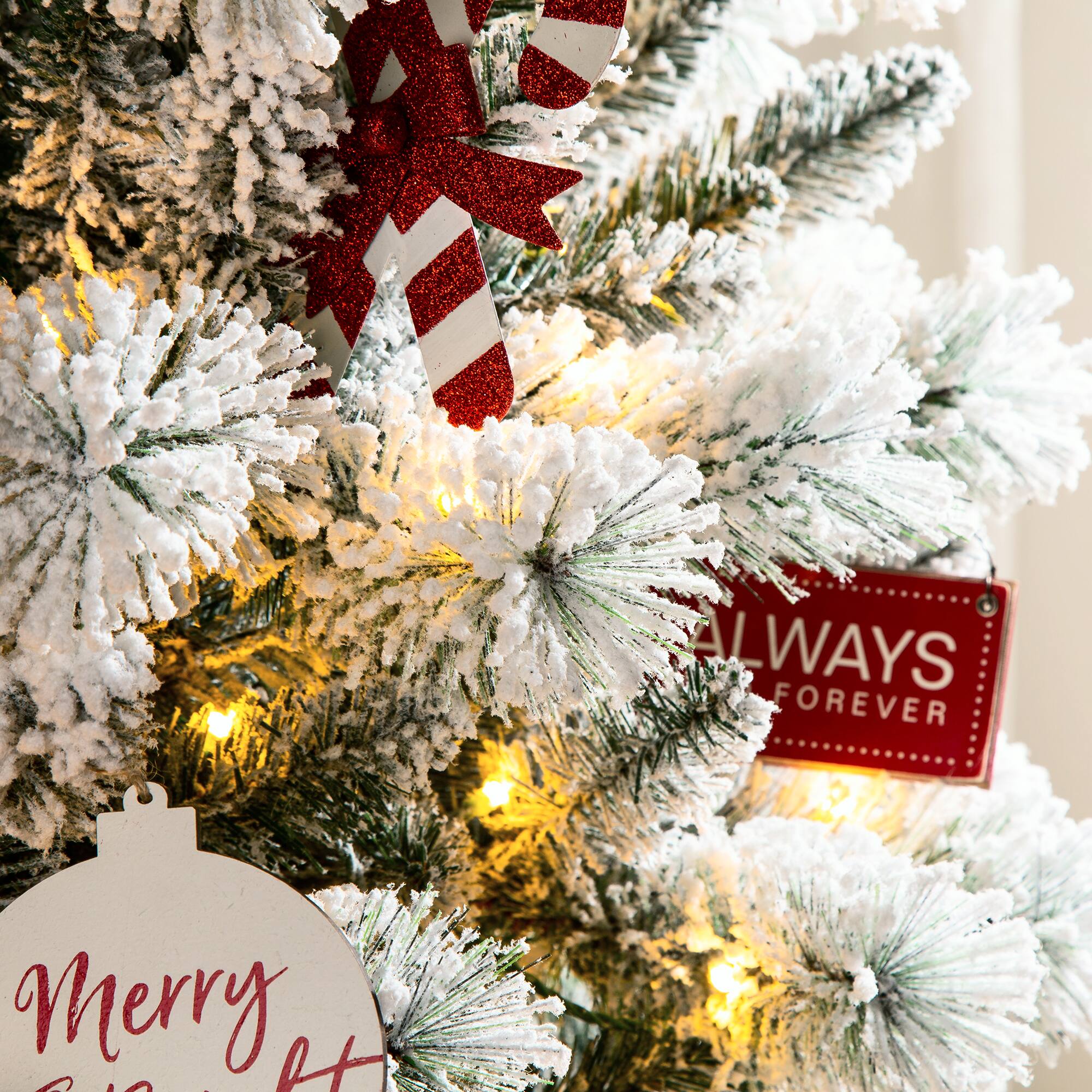 ALWAYS FOREVER  
Merry