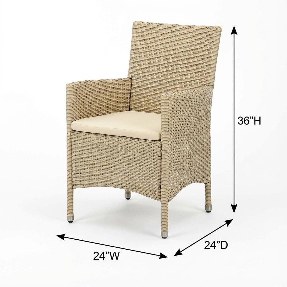 Outdoor Escape - Cream Wicker Patio Chair Set of 2 with Outdoor-Ready Frame - Brown price history on PriceWatchPro