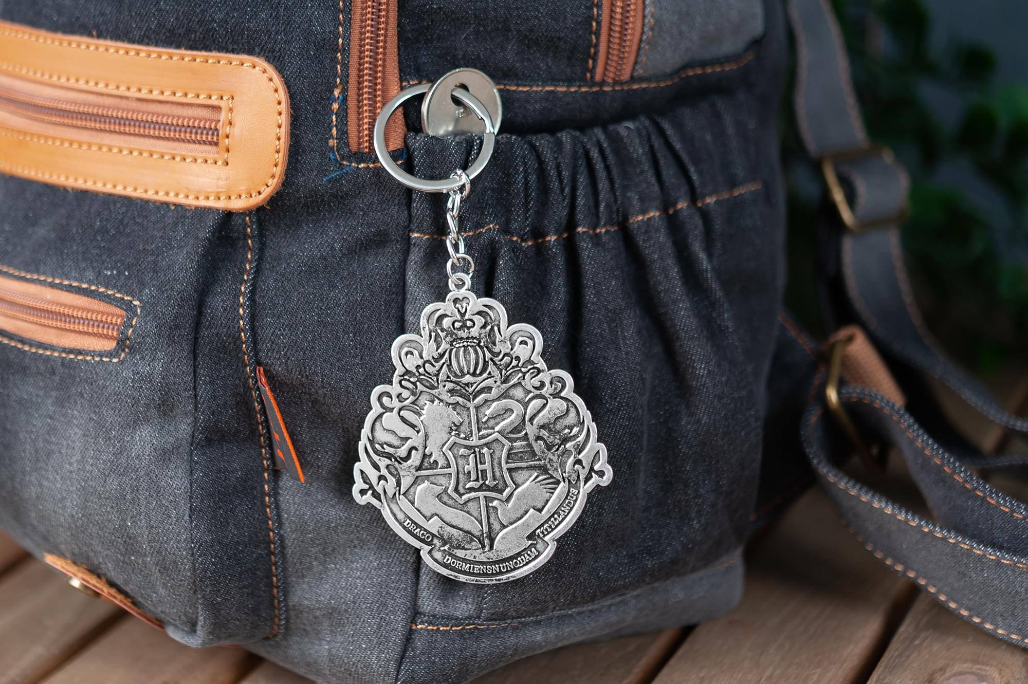 DRACO ENCHYTHLIIL DORMIENSNUOHAM