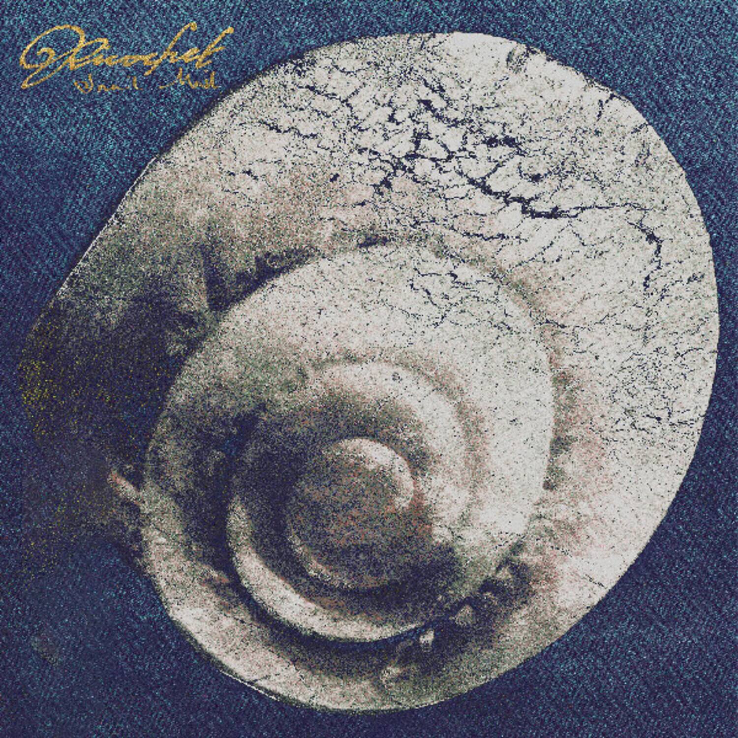 Snail Mail - Ricochet   - VINYL LP price history on PriceWatchPro