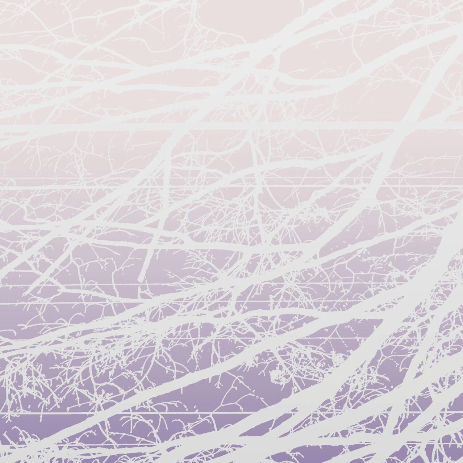 Lea Bertucci - Metal Aether / Resonant Field   - VINYL LP price history on PriceWatchPro