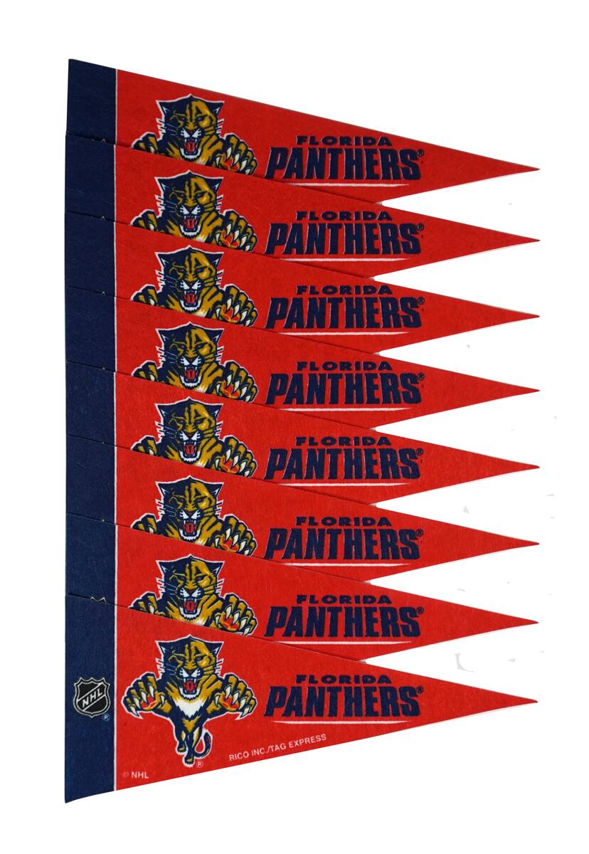 FLORIDA PANTHERS  
FLORIDA PANTHERS  
FLORIDA PANTHERS  
FLORIDA PANTHERS  
FLORIDA PANTHERS  
FLORIDA PANTHERS  
NHL  
RICO INC / TAG EXPRESS