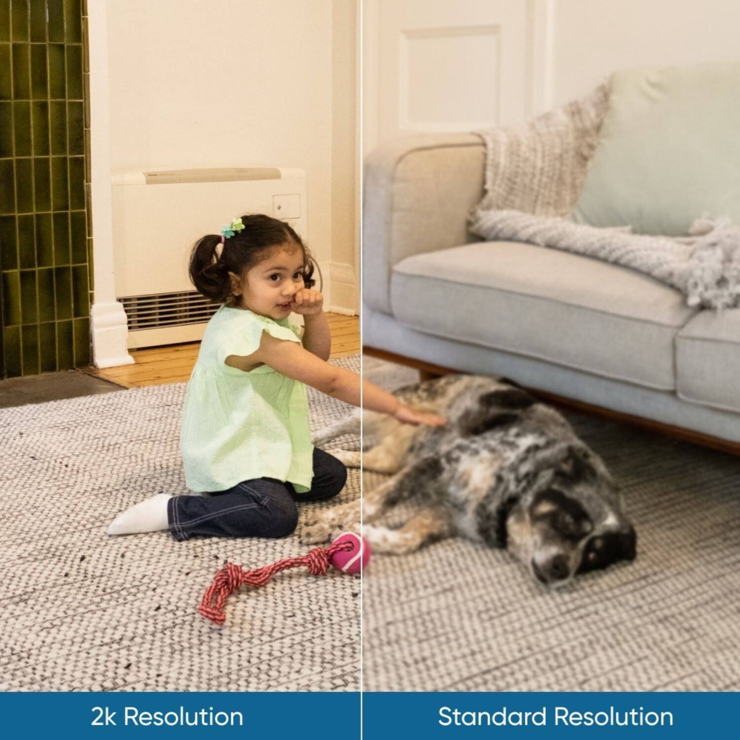 2k Resolution:
A little girl is sitting on the floor, playing with a dog. She is holding a toy in her hand and the dog is laying down beside her. The girl is wearing a green shirt.

Standard Resolution:
A little girl is sitting on the floor, playing with a dog. She is holding a toy in her hand and the dog is laying down beside her. The girl is wearing a green shirt.