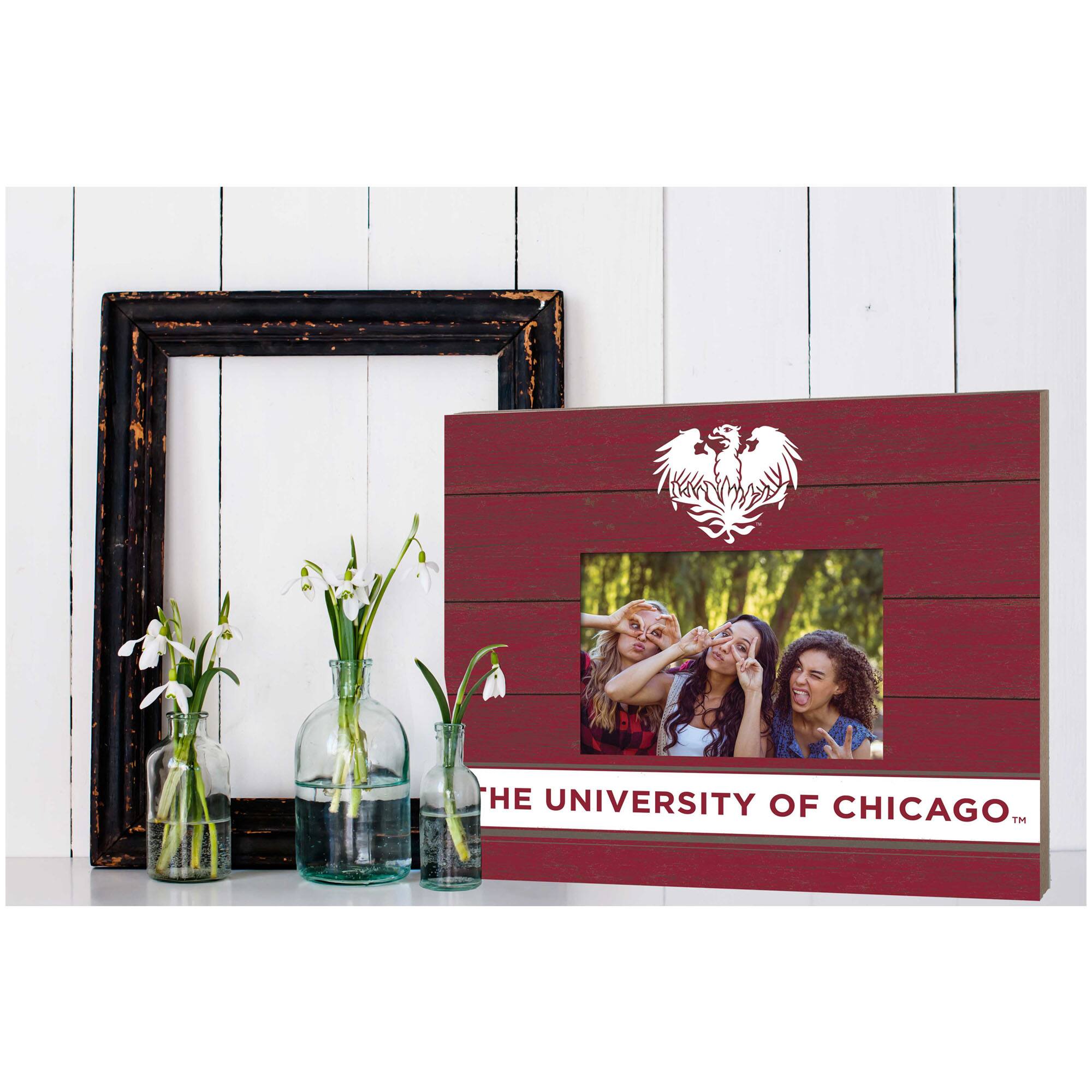 THE UNIVERSITY OF CHICAGO™