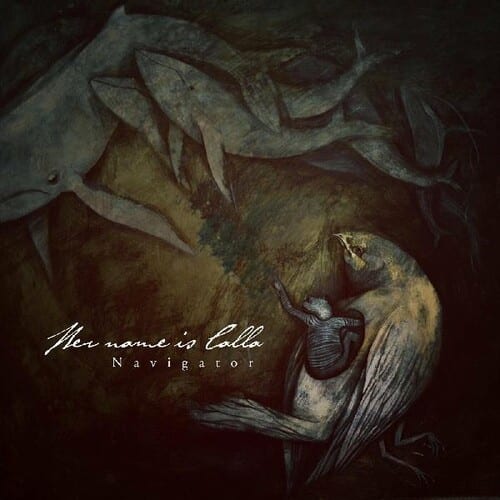 Her Name Is Calla - Navigator   - COMPACT DISCS [CD] price history on PriceWatchPro