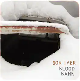 Bon Iver - Blood Bank - VINYL LP