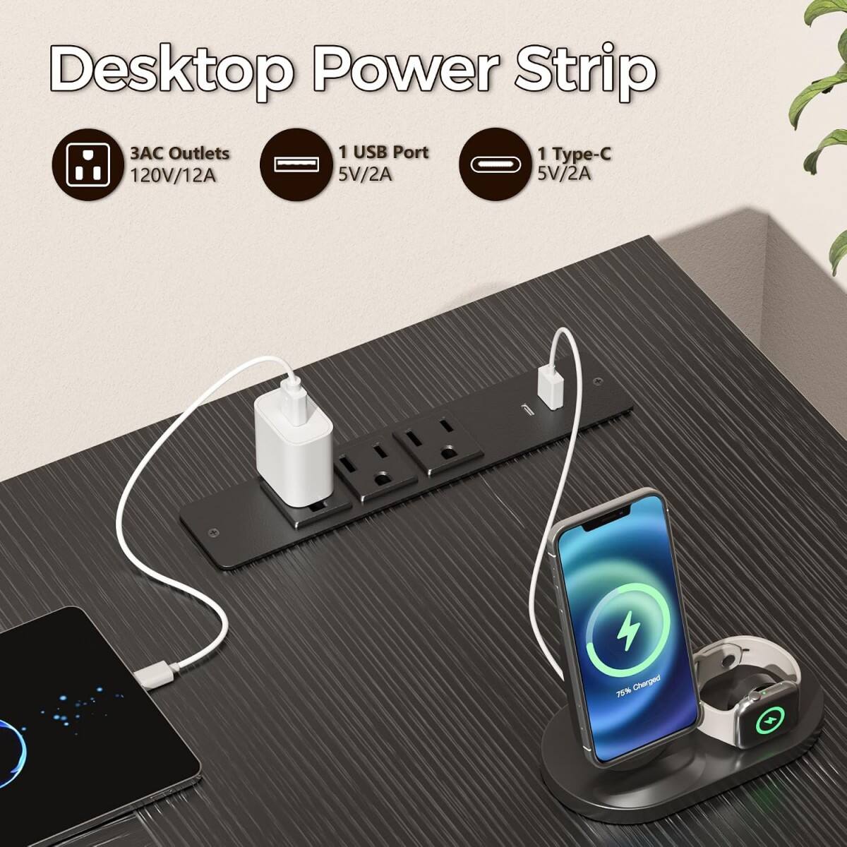 Desktop Power Strip

3AC Outlets 120V/12A
1 USB Port 5V/2A
1 Type-C 5V/2A

75% Charged