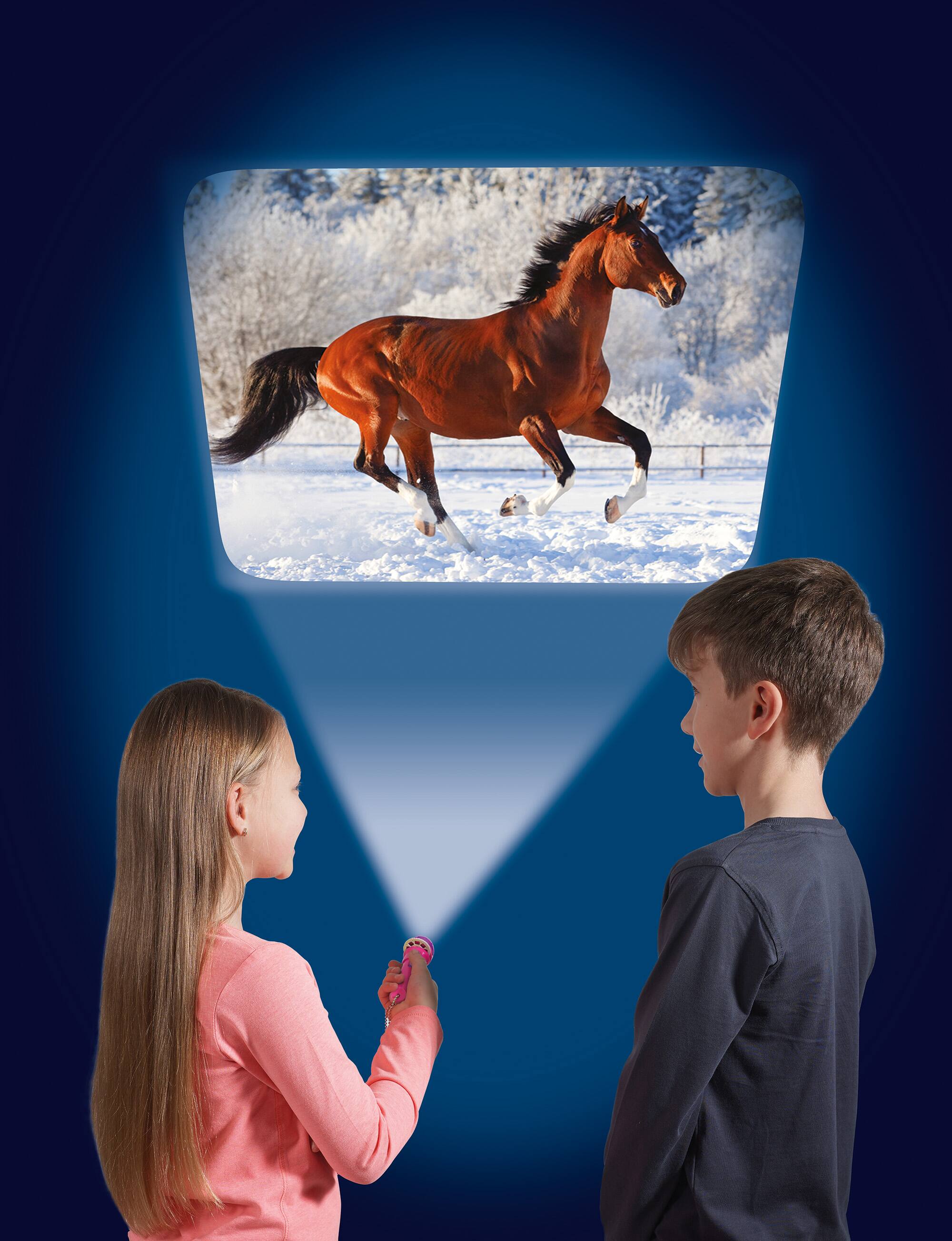Back. Brainstorm Limited - Brainstorm Toys - Horse Flashlight and Projector w/ 24 Horse Images.