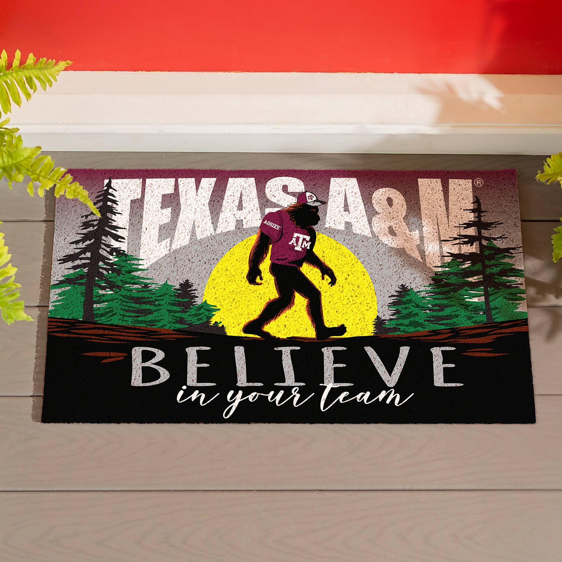 TEXAS A&M  
BELIEVE in your team