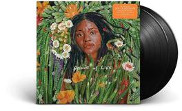 Joy Oladokun - Proof Of Life - VINYL LP