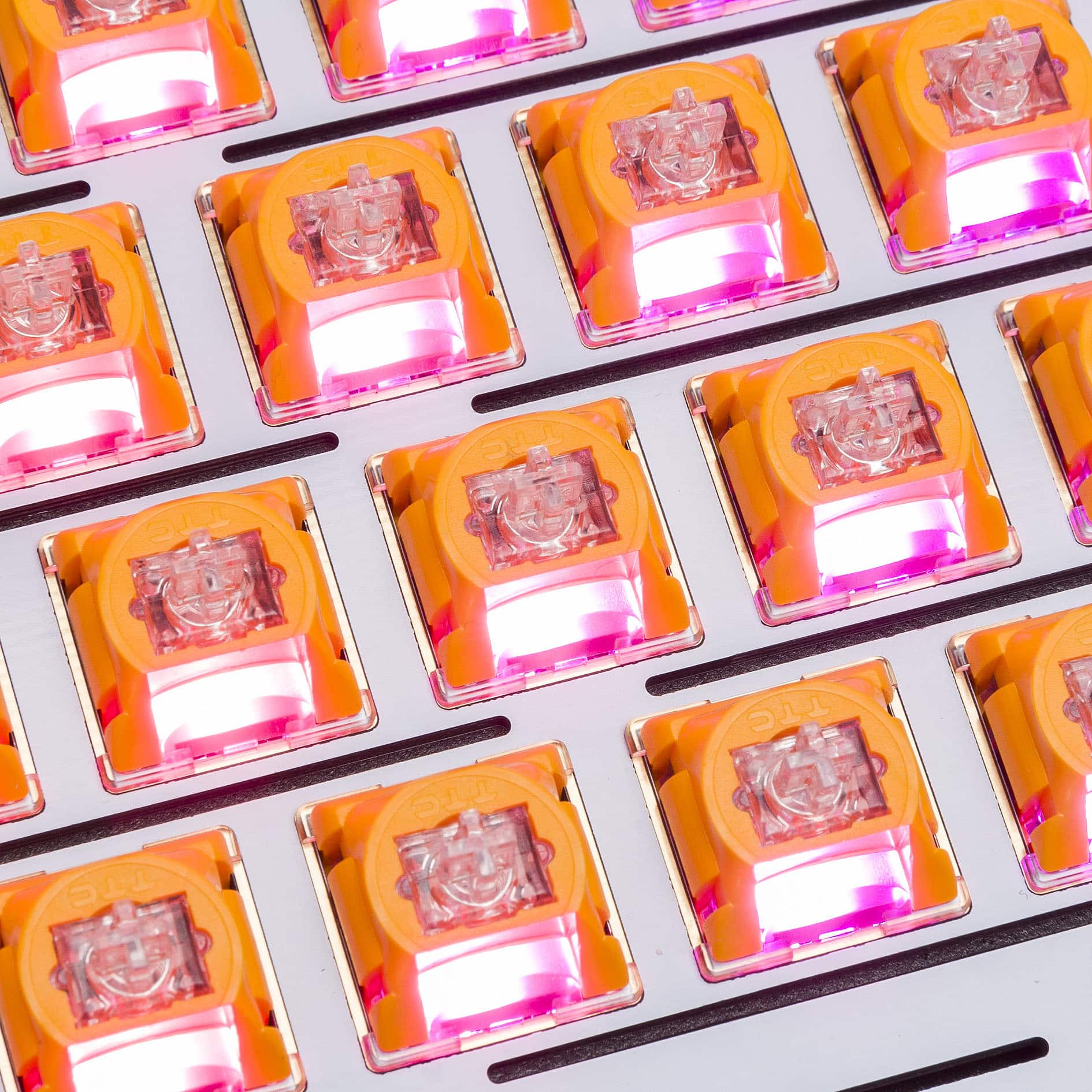 BAL SLL mc I TTC TTC TC