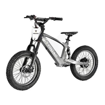 Voltaic Youth Electric Dirt Bike 18'' Flying Fox Gray VKD-18GY - Best Buy Voltaic Youth Electric Dirt Bike 18'' Flying Fox Gray VKD-18GY - Best Buy